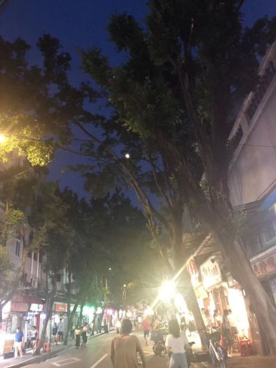 线上兼职咸鱼上号秒结租v小号80养老金50