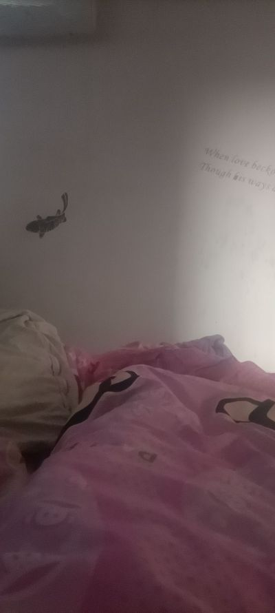 保洁未编辑专业未编辑专业未编辑专业