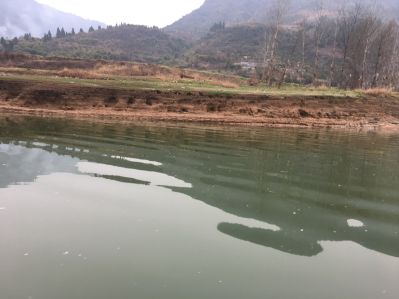 无未编辑专业未编辑专业未编辑专业