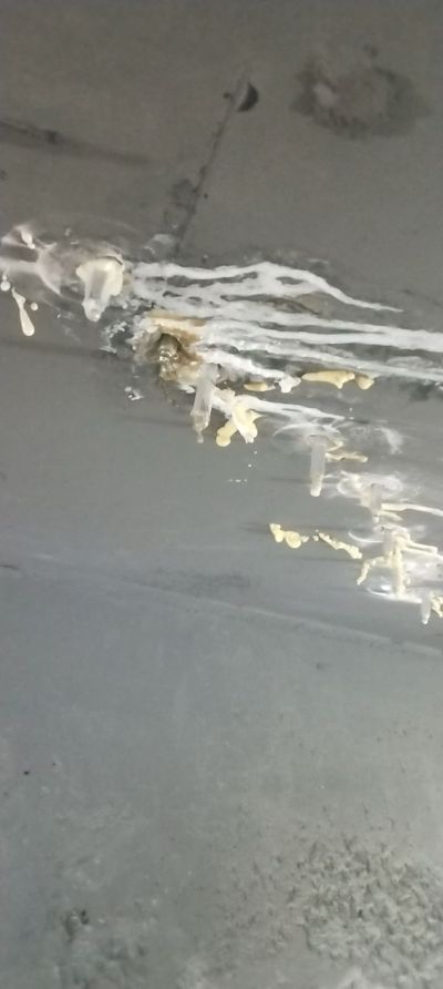 专业防水补漏专业防水补漏防水补漏防水补漏