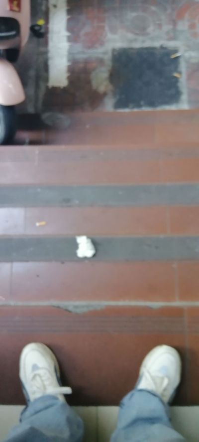 无安装未编辑专业未编辑专业