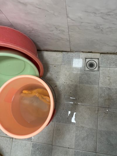 无未编辑专业未编辑专业未编辑专业