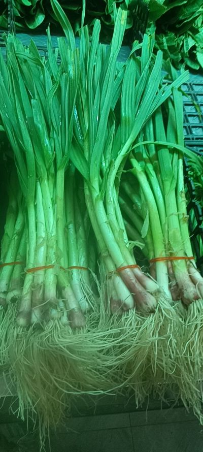 多功能方向未编辑专业未编辑专业未编辑专业
