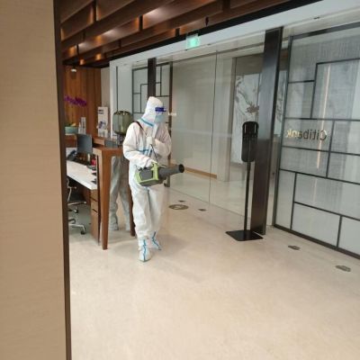 除虫，除甲醛灭老鼠除甲醛灭蟑螂除白蚁