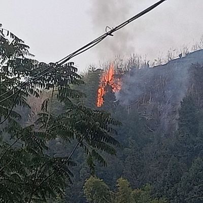 电器维修安装电器维修安装水电气路改装热水器灶维修