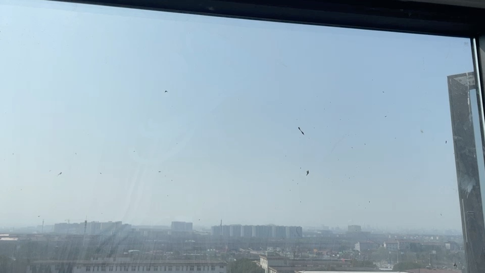 无未编辑专业未编辑专业未编辑专业