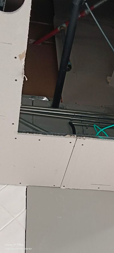 虫害处理未编辑专业未编辑专业未编辑专业