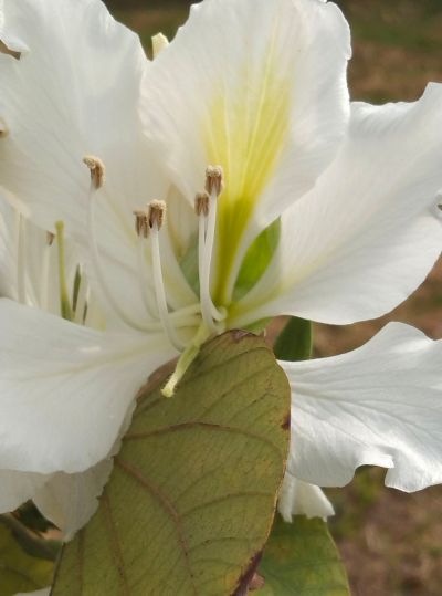 防水，测漏水未编辑专业未编辑专业未编辑专业