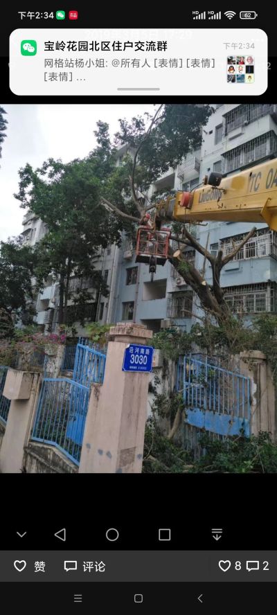 绿化修剪养护未编辑专业未编辑专业未编辑专业