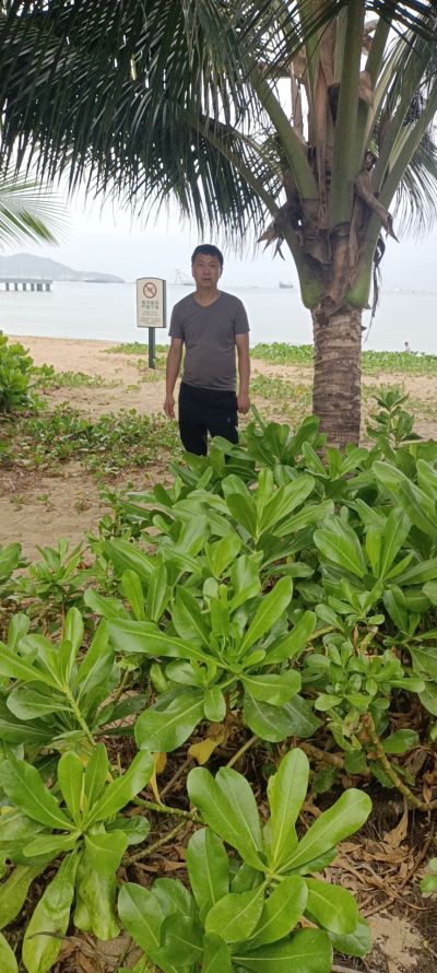 装修，刮腻子装修行业刮腻子刷漆隔断