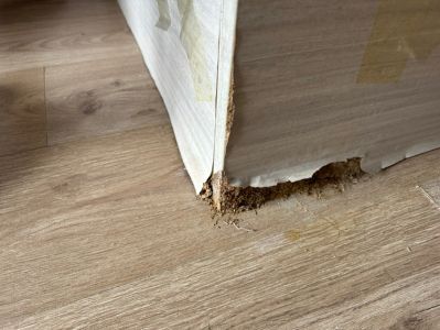 无未编辑专业未编辑专业未编辑专业