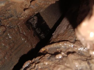 防水防水卫生间免砸砖防水堵漏