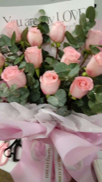 同城配送无未编辑专业未编辑专业