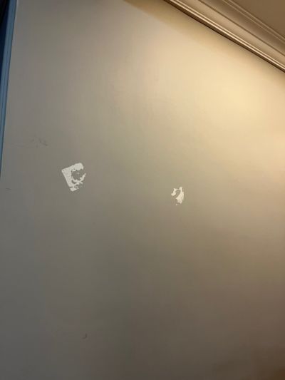 无未编辑专业未编辑专业未编辑专业