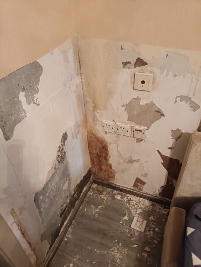 乳胶漆维修维修乳胶漆未编辑专业未编辑专业