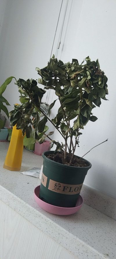 不限未编辑专业未编辑专业未编辑专业
