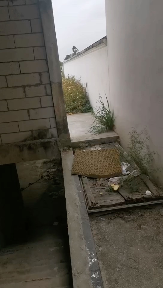 无未编辑专业未编辑专业未编辑专业