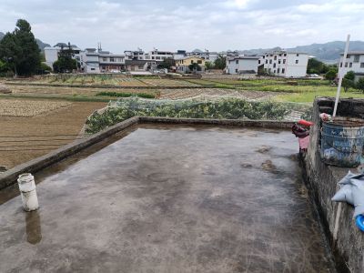 装饰装修服务水电维修服务拆除、开门窗未编辑专业