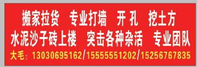 拆除家装突击各种杂活搬家拉货，专业队40人