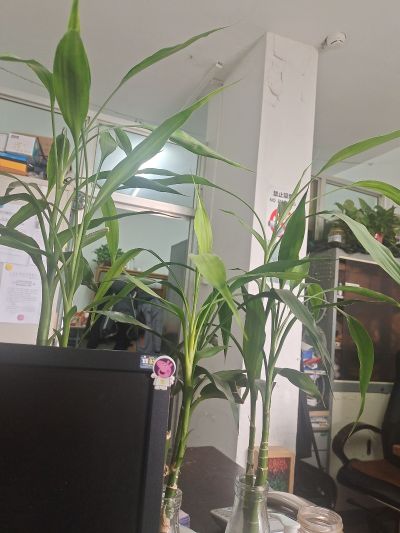 水电暖疏通无无无