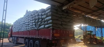 搬运工专业搬运装卸拆拆  搬家未编辑专业