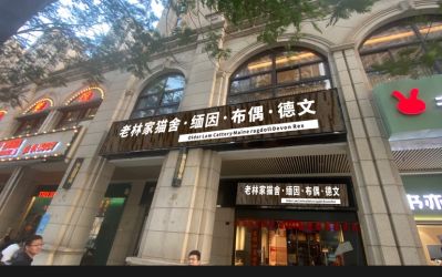 宠物未编辑专业未编辑专业未编辑专业