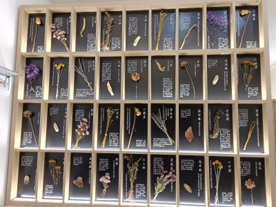 电工未编辑专业未编辑专业未编辑专业