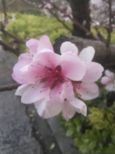 风水易数六爻心理辅导情感问题沟通障碍