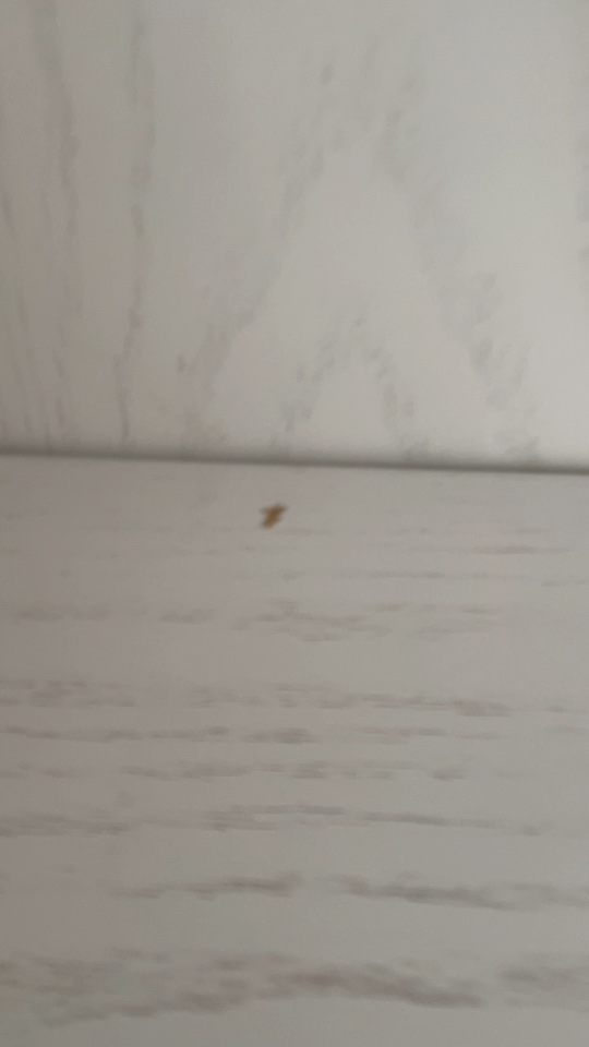 白色家具未编辑专业未编辑专业未编辑专业
