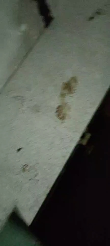 系统集成未编辑专业未编辑专业未编辑专业