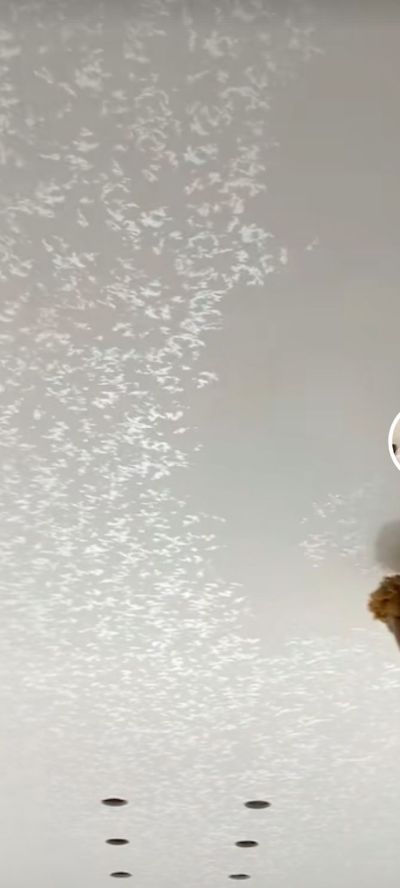 室内艺术漆艺术漆硅藻泥外墙真石漆