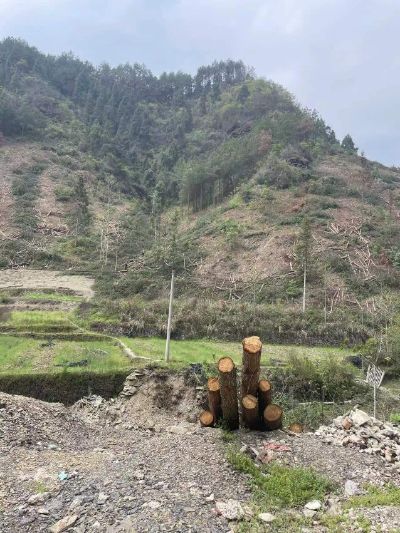 各类地坪工程工艺管道安装内外墙园林建筑四大清工