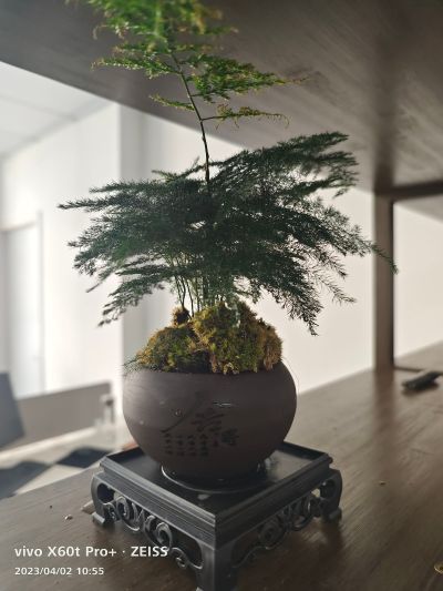 无未编辑专业未编辑专业未编辑专业