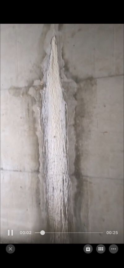 无未编辑专业未编辑专业未编辑专业