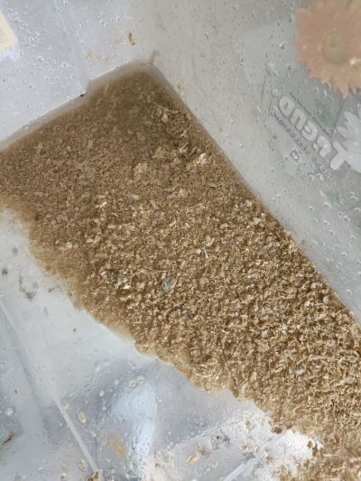 家电清洗专业家电清洗专业家电清洗未编辑专业