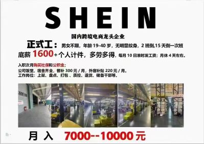 人力资源搬运工无无