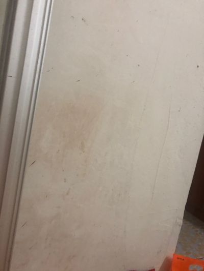 手袋行业版房未编辑专业未编辑专业未编辑专业