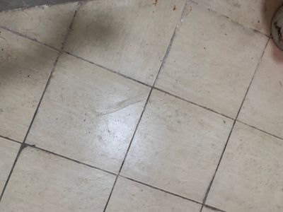 无未编辑专业未编辑专业未编辑专业