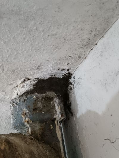 装饰装修服务水电维修服务拆除、开门窗未编辑专业