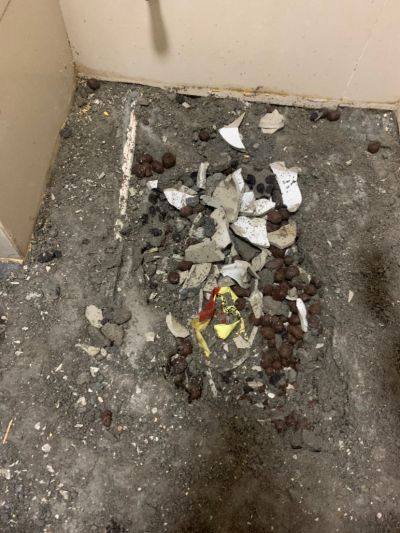 接单未编辑专业未编辑专业未编辑专业