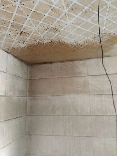 擦玻璃开荒保未编辑专业未编辑专业未编辑专业