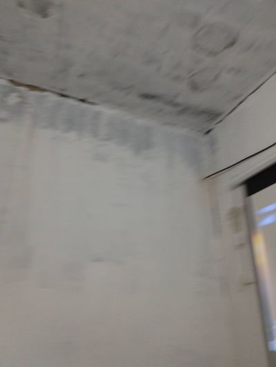 无搬家～搞卫生未编辑专业未编辑专业