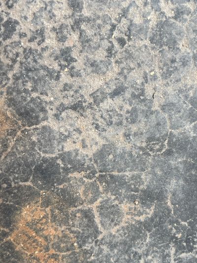 随便未编辑专业未编辑专业未编辑专业