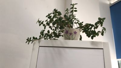 无未编辑专业未编辑专业未编辑专业