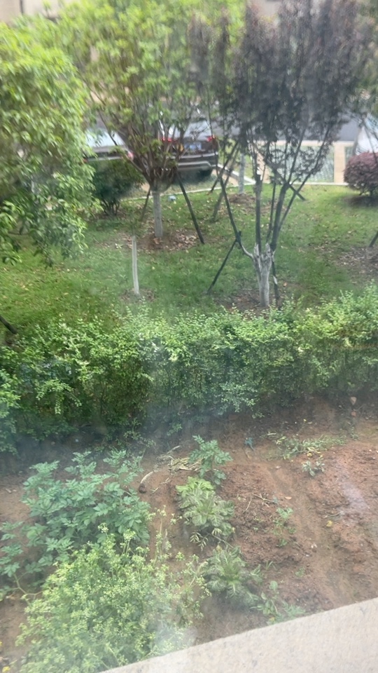 无未编辑专业未编辑专业未编辑专业