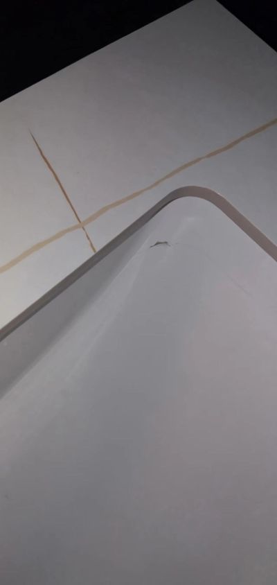 无未编辑专业未编辑专业未编辑专业