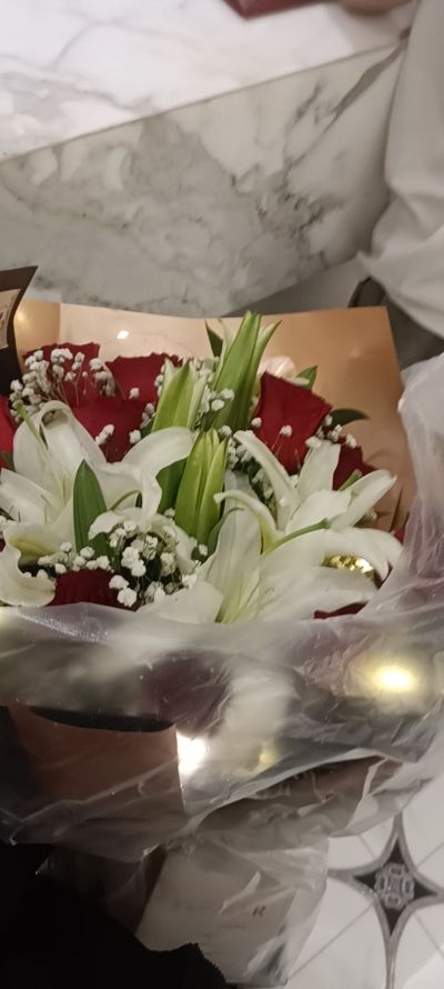 软件小程序制作招商运营益生菌招代理