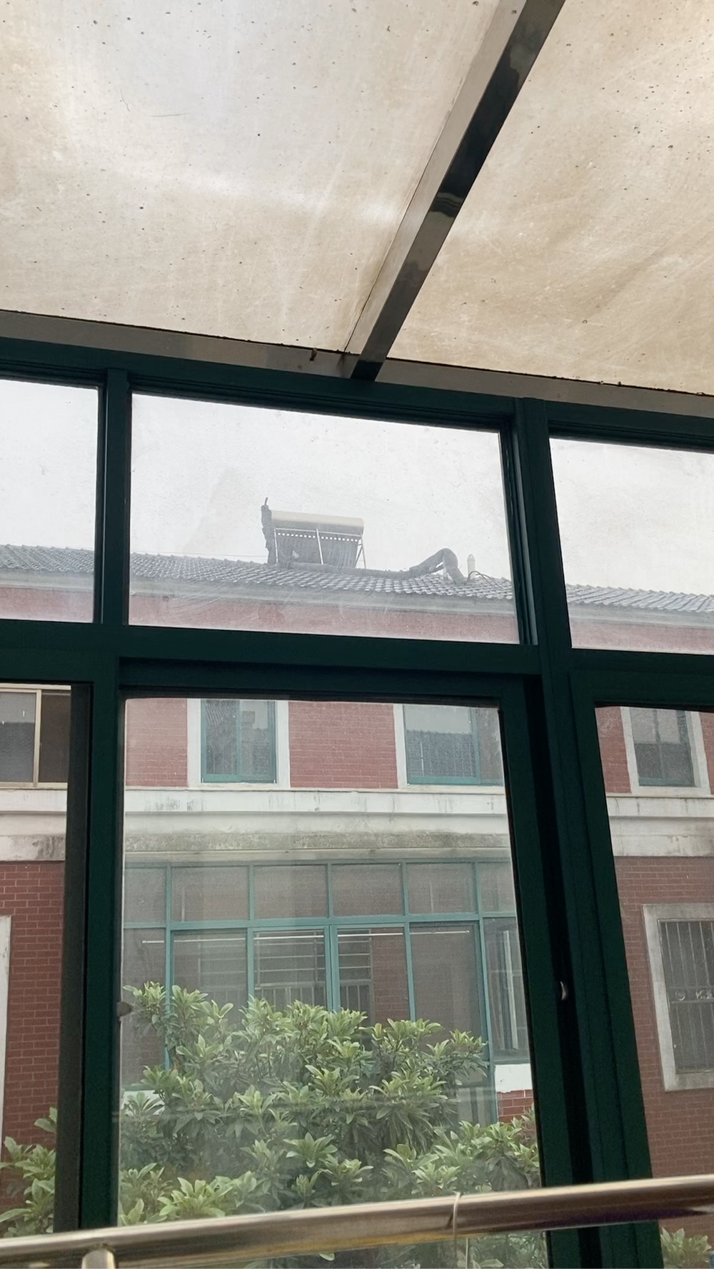 无未编辑专业未编辑专业未编辑专业