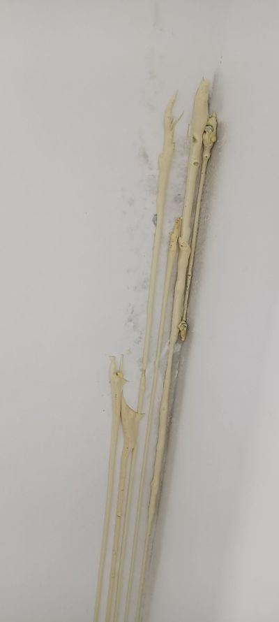 专业防水专业防水未编辑专业未编辑专业