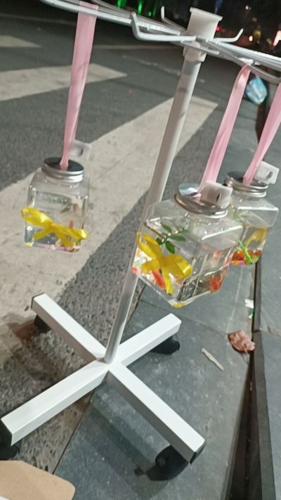搬运工，小时工未编辑专业未编辑专业